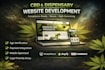 build cbd, thc, vape ecommerce store on wordpress, shopify or ecwid