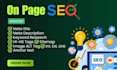 do professional on page SEO optimization