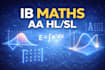 provide ib maths aa hl sl tuitions