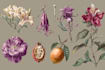 illustrate awesome botanical fruit, plant illustration