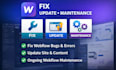 fix webflow bugs, update your site, and provide ongoing webflow maintenance