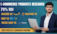 do product research for amazon, walmart, ebay store, dropshipping business
