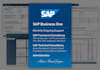 provide ongoing sap business one functional and technical support