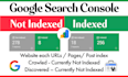 index all urls on google and fix indexing issues on gsc