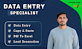 do data entry, copy and paste, and email list building