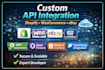 do custom API integration for shopify,woocommerce,ebay and ecommerce store