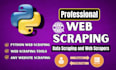 build a custom python web scraper and web scraping to excel