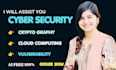 do cybersecurity, cloud computing, vulnerability, cryptography assignments
