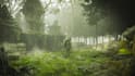 create fantasy 3d illustrations and cinematic environments