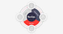 audit and optimize your business model