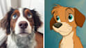 draw pet portrait into cartoon disney