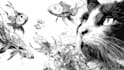 draw black and white illustrations