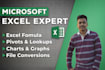 provide expert solutions for excel problems