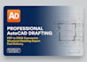do professional autocad drafting and structural detailing