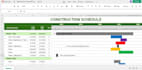 project management using primavera, ms project