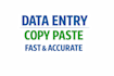 do accurate data entry, copy paste and web research