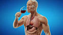 create 3d medical animation, medical explainer video and anatomy animation video