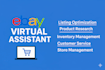 be your professional ebay virtual assistant