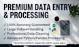 accurate data entry service
