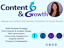 provide a multi channel social media strategy and content management