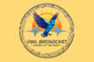 do professional and unique radio station logo
