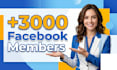 inscrease new 3,000 facebook members