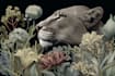 illustrate best botanical illustration