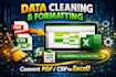 convert PDF to excel