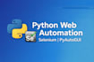 create custom python browser automation using selenium