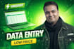 do urgent data entry and input data entry in low price