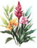 illustrate best botanical illustration