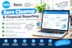 do xero cleanup and financial reporting