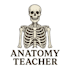 teach anatomy, physiology, biology, chemistry