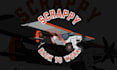 do a wonderful superb airplanes logo design
