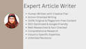 do article writing, SEO blog posts and content writing