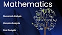 do numerical analysis, methods optimization and mathematical modeling solutions