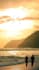make beautiful and professional wallpapers