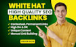 provide high quality DR backlink building with monthly off page SEO service