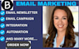 setup high converting  brevo lead magnet funnel email automation