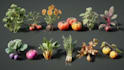 draw realistic plants, vegetables, fruits