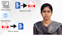 create PDF to word, data entry, canva, wordpress