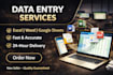 do fast and accurate data entry, PDF to excel, and data conversion