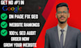do complete on page SEO optimization website audit