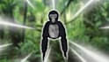 develop a gorillatag fangame for you