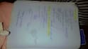 create very clear biology notes and pdfs for students