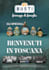 design a retro travel poster or vintage event flyer