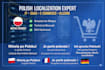 provide professional polish IT, ecommerce, and amazon allegro localization
