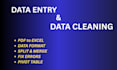 excel data cleaning, merge, split and pivot table expert