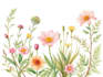 illustrate best botanical illustration