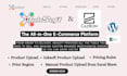do cazrom and inksoft store virtual assistant, inksoft expert
